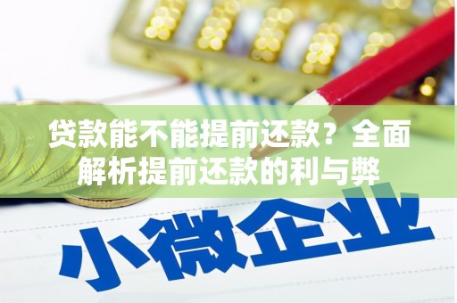 天山贷款能不能提前还款？全面解析提前还款的利与弊