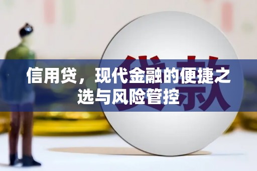 天山信用贷，现代金融的便捷之选与风险管控