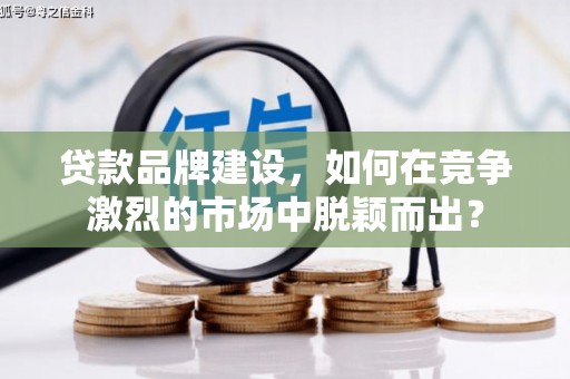 天山贷款品牌建设，如何在竞争激烈的市场中脱颖而出？