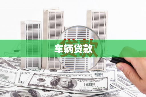 天山车辆贷款