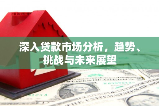 天山深入贷款市场分析，趋势、挑战与未来展望