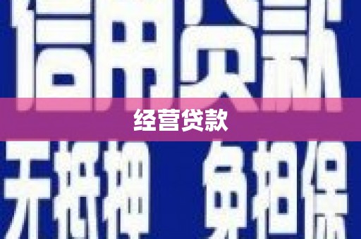 天山经营贷款