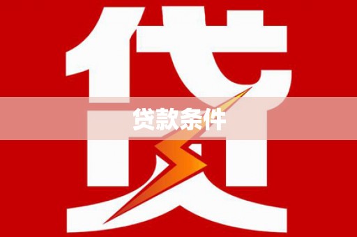 天山贷款条件