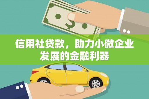 天山信用社贷款，助力小微企业发展的金融利器