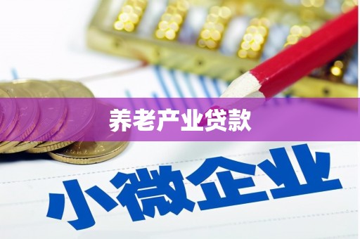 天山养老产业贷款