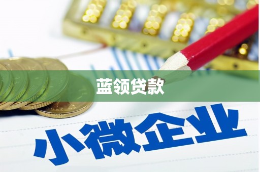 天山蓝领贷款