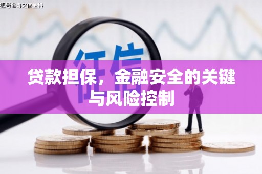 天山贷款担保，金融安全的关键与风险控制