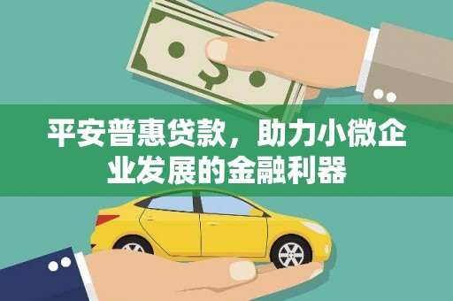 天山平安普惠贷款，助力小微企业发展的金融利器