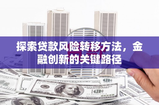 天山探索贷款风险转移方法，金融创新的关键路径
