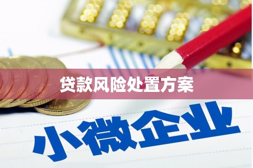 天山贷款风险处置方案