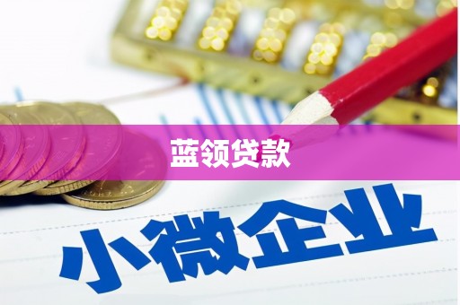 天山蓝领贷款