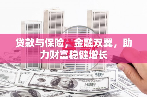 天山贷款与保险，金融双翼，助力财富稳健增长