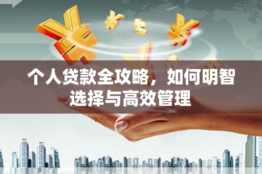 天山个人贷款全攻略，如何明智选择与高效管理